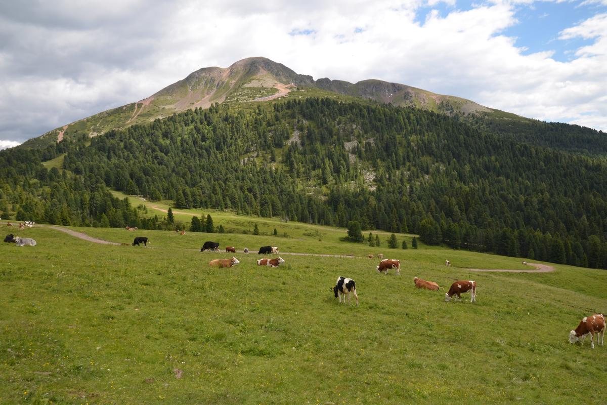 Weisshorn 27.06.2018